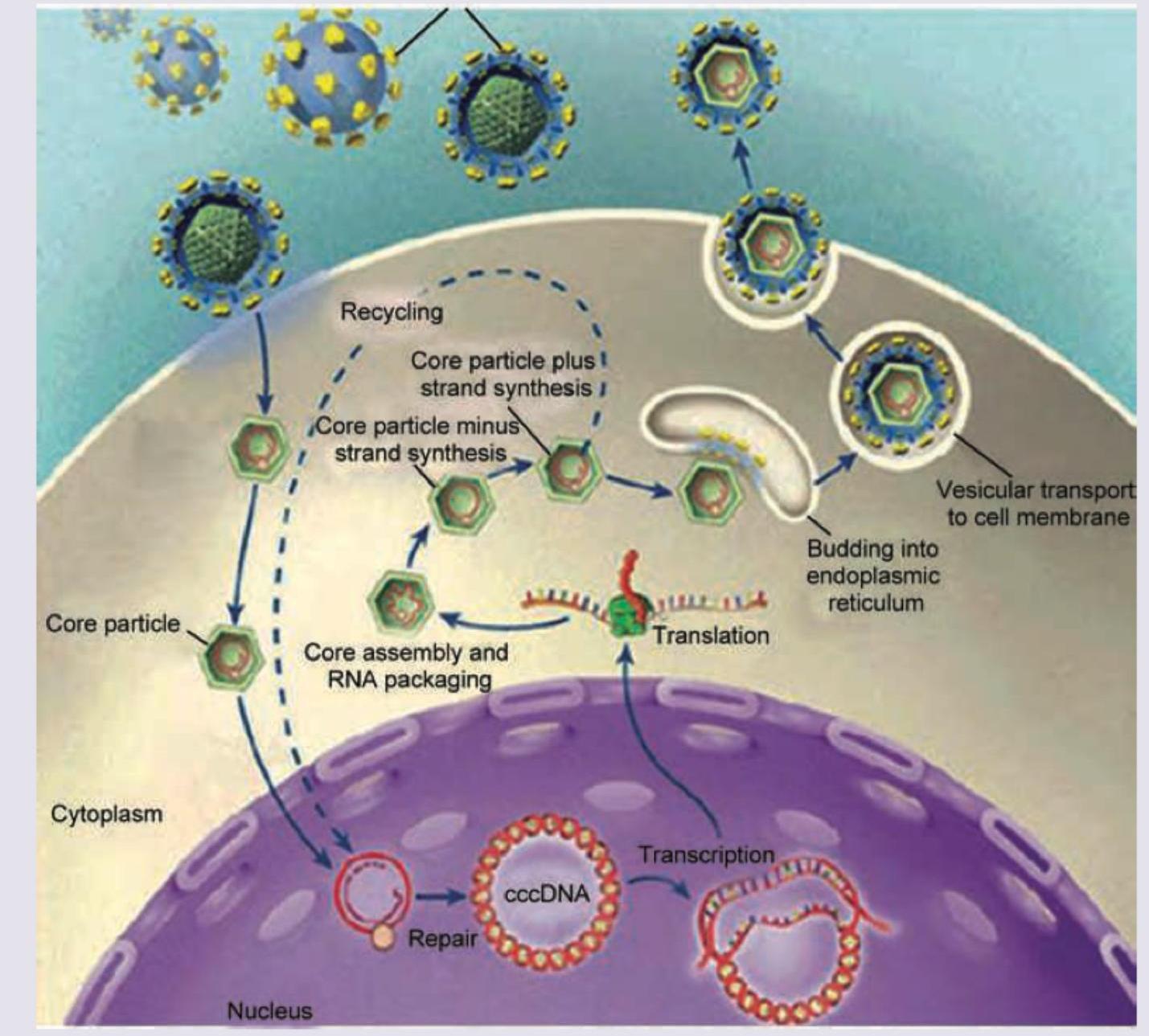 Image for question 4