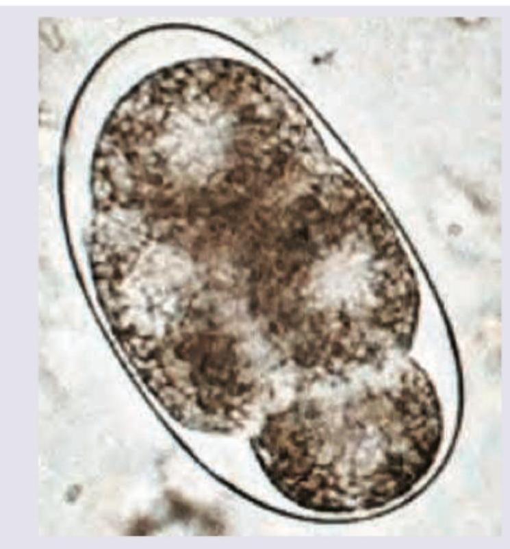 Image for question 8