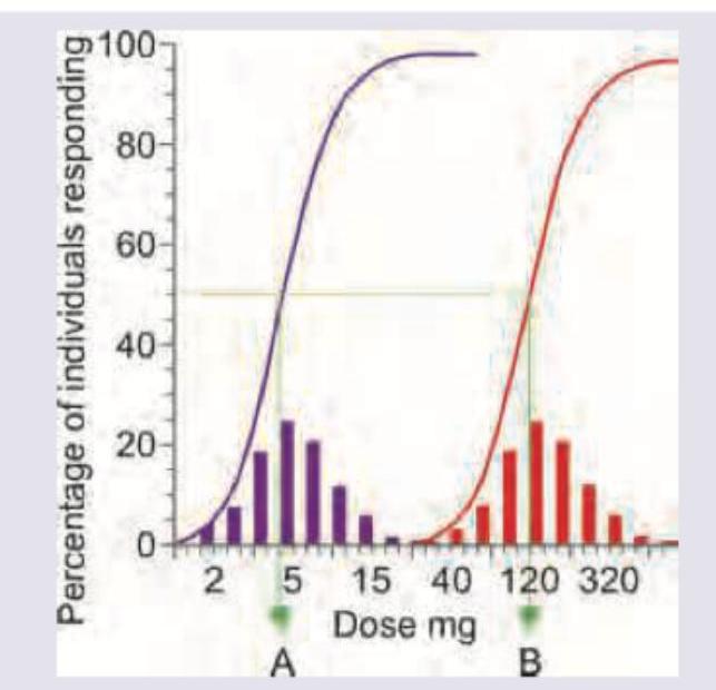 Image for question 8