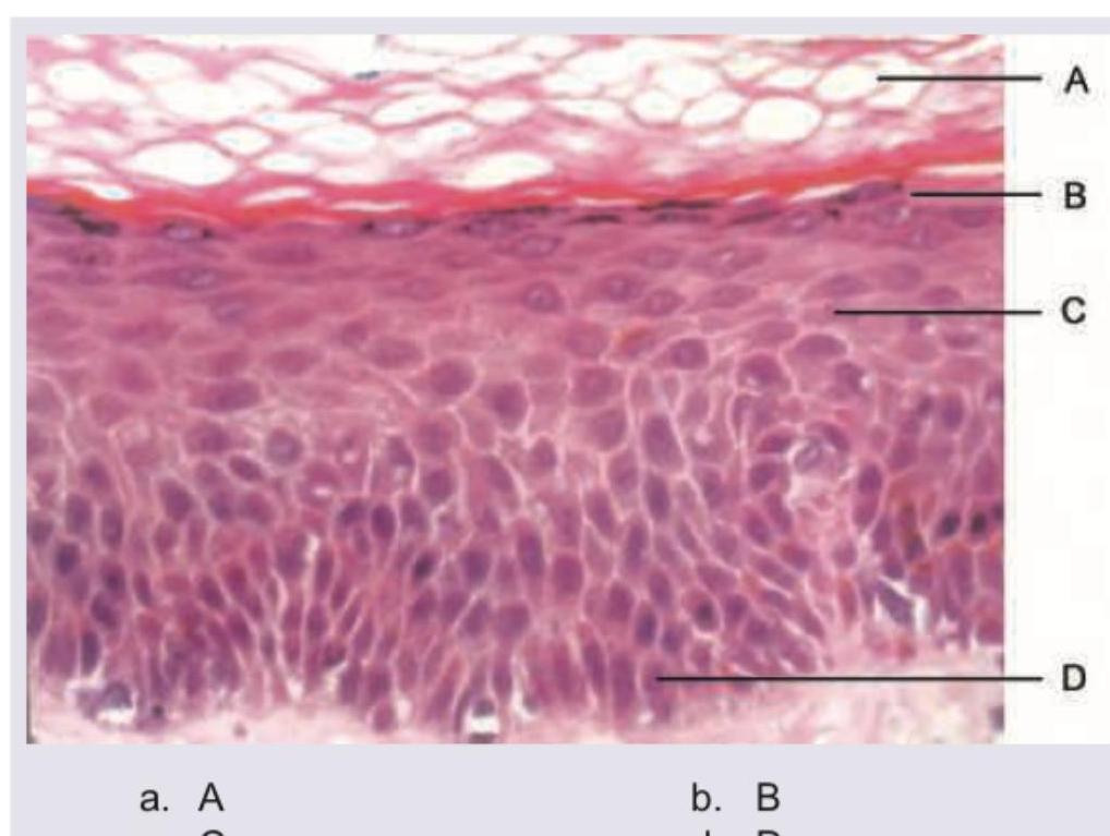 Image for question 7