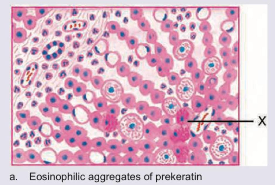 Image for question 8