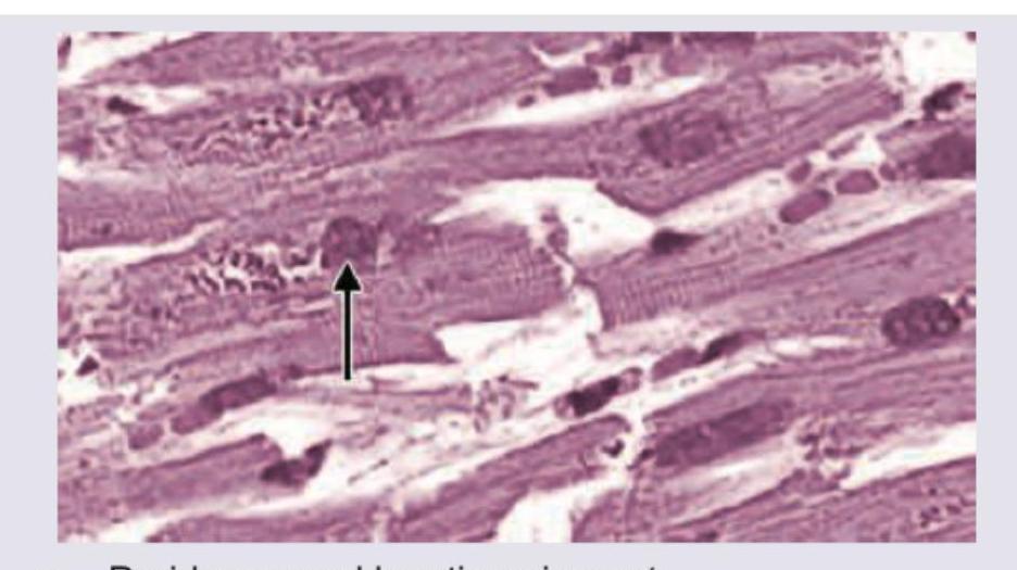 Image for question 206