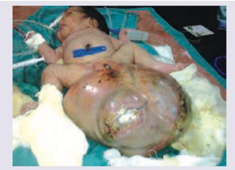 Image for question 1001