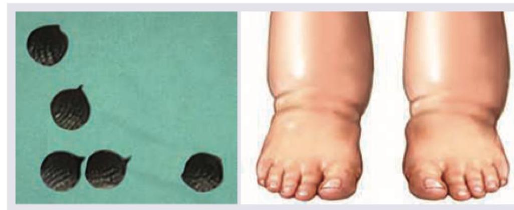 Image for question 16