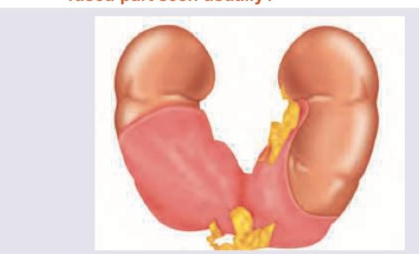 Image for question 50