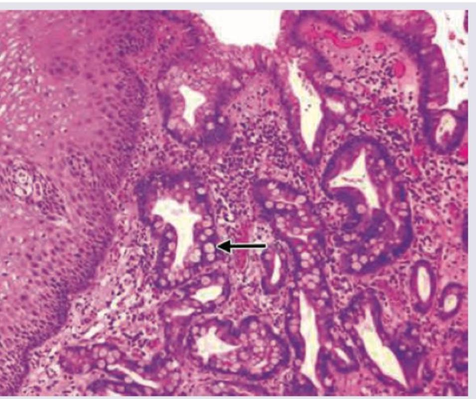 Image for question 9