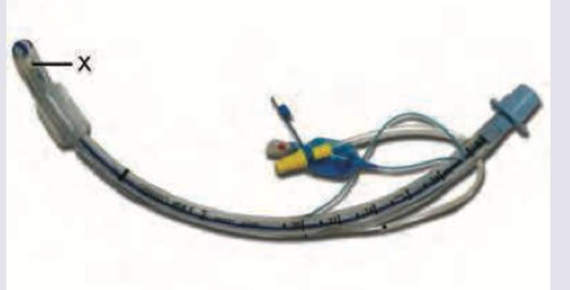 Image for question 300