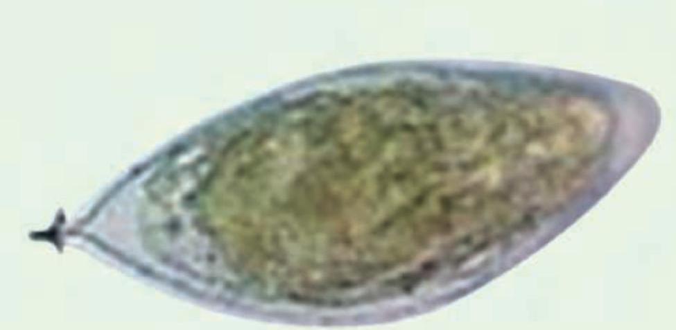 Image for question 22