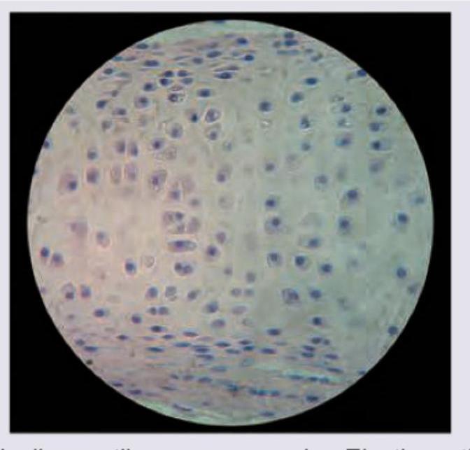 Image for question 401