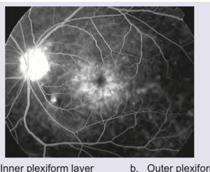 Image for question 9