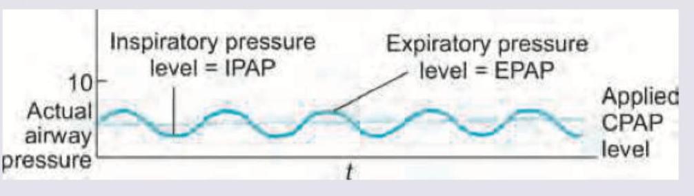 Image for question 9