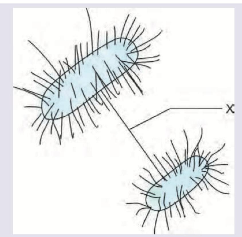 Image for question 406