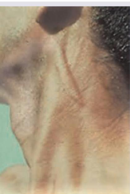 Image for question 3