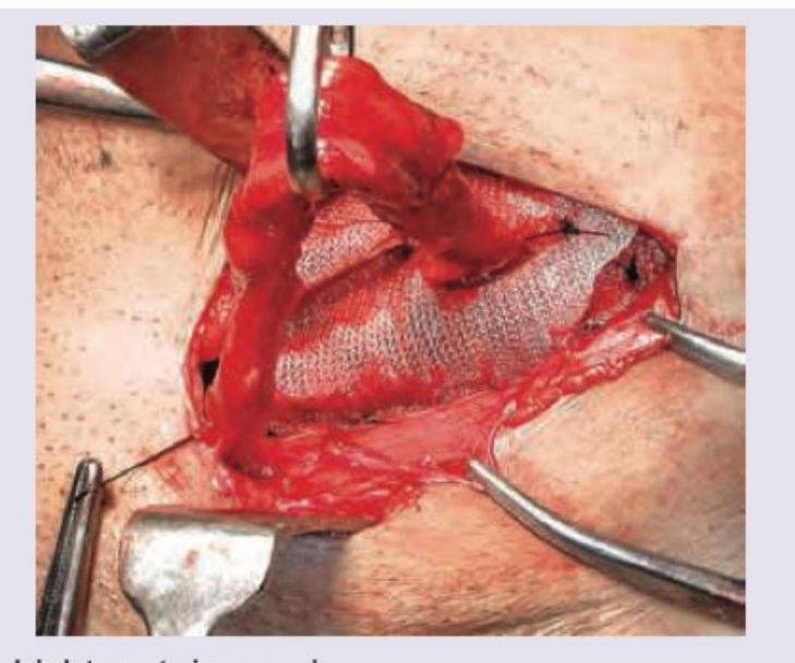 Image for question 9