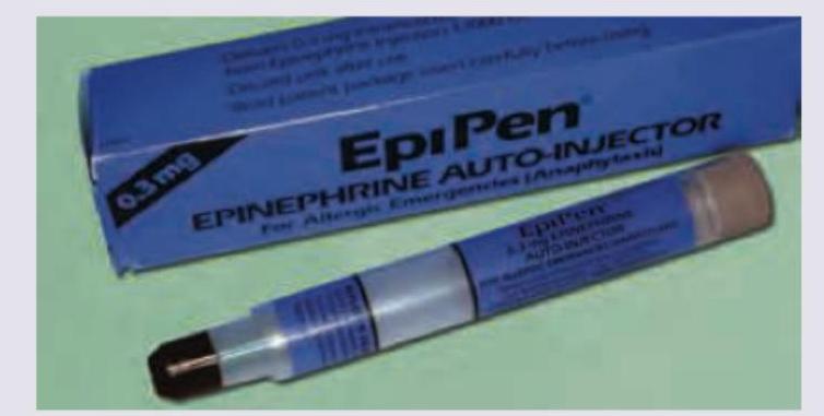 Image for question 31