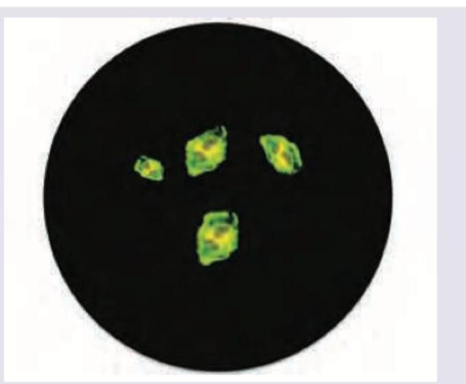 Image for question 4