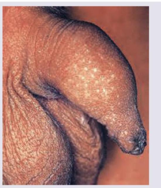 Image for question 9