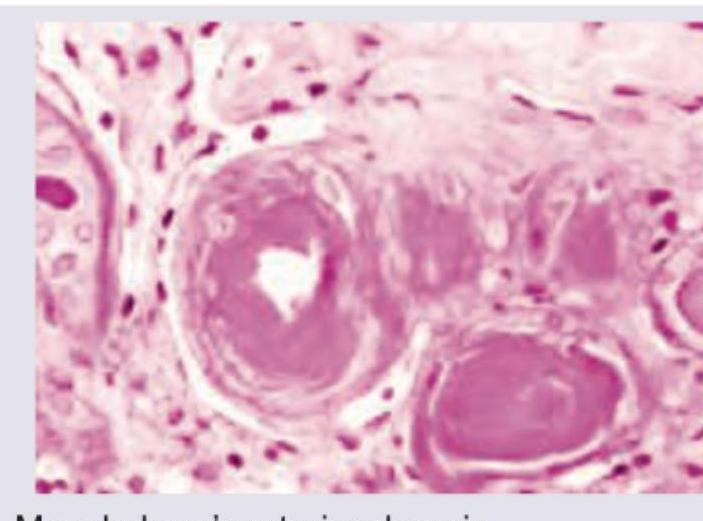 Image for question 8