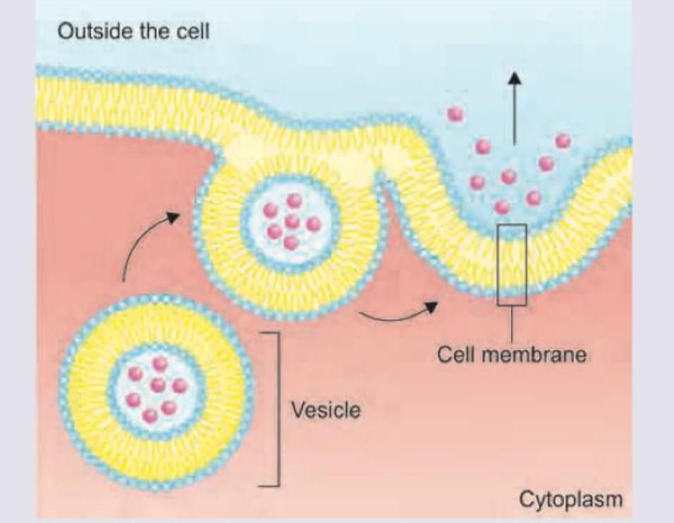 Image for question 245
