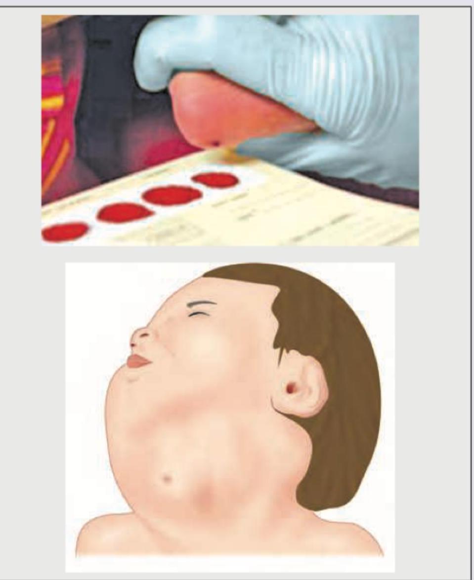 Image for question 23