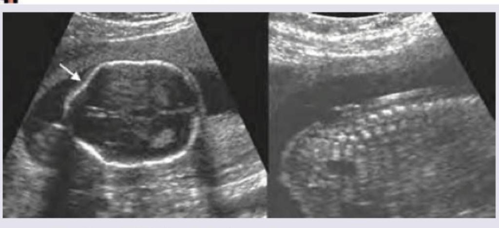 Image for question 9