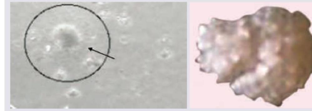 Image for question 9