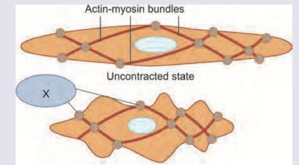 Image for question 159
