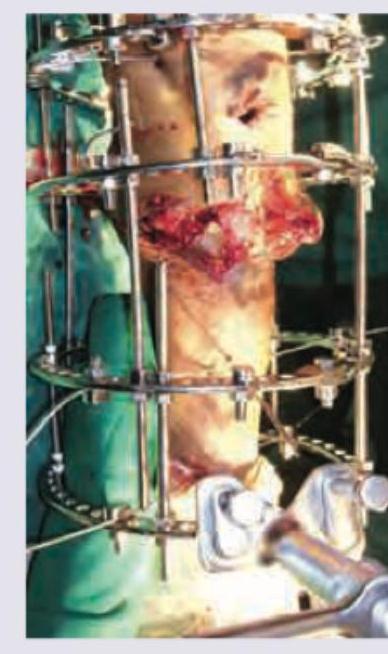 Image for question 66