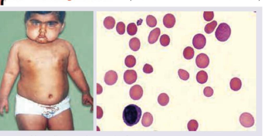 Image for question 1116
