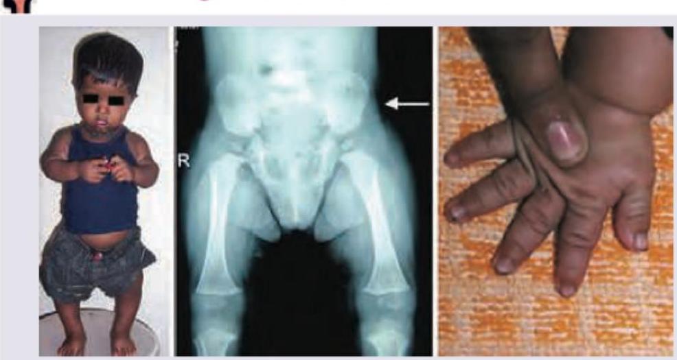 Image for question 637