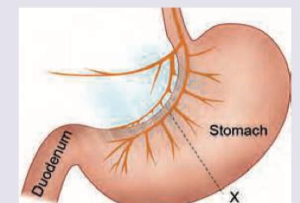 Image for question 10