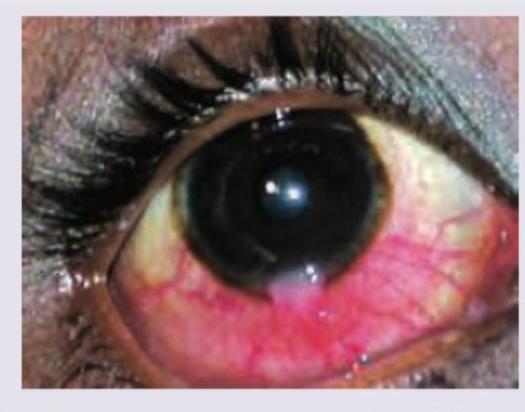 Image for question 259