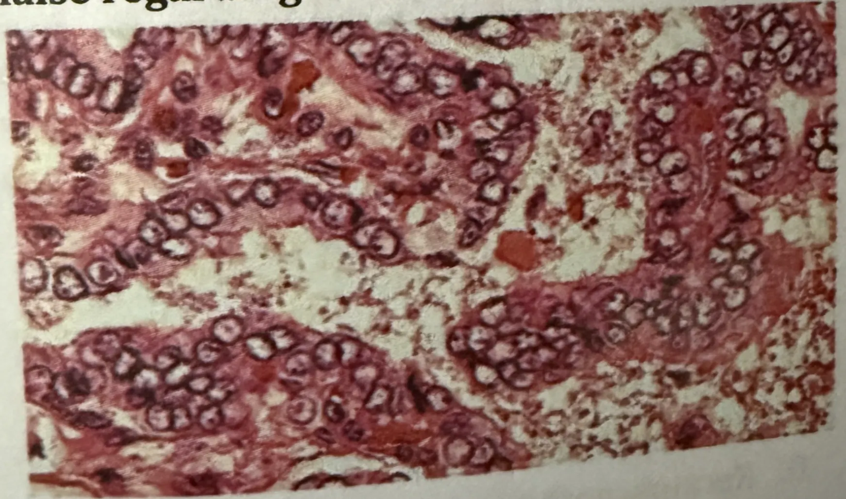 Image for question 5