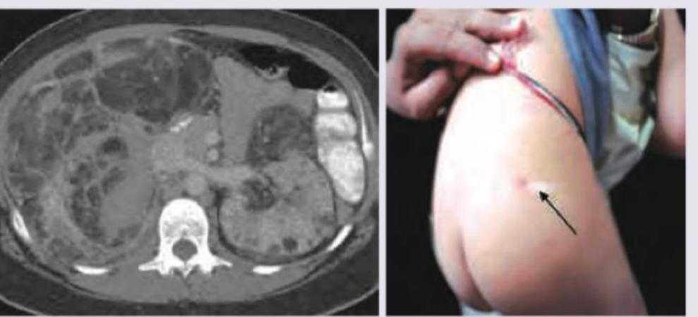 Image for question 13