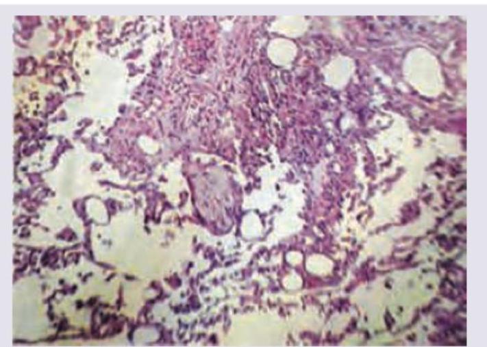 Image for question 1