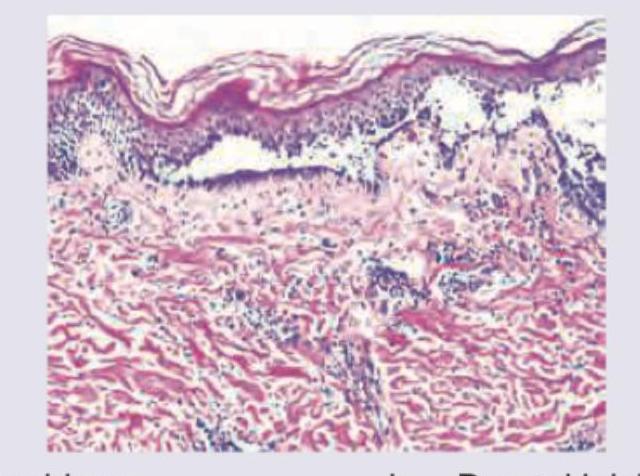 Image for question 2