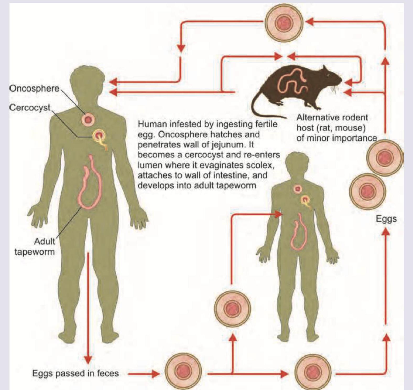 Image for question 8
