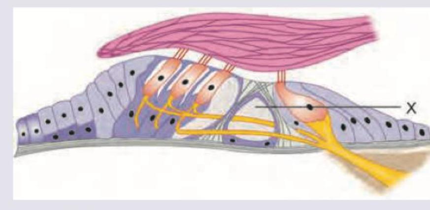 Image for question 410