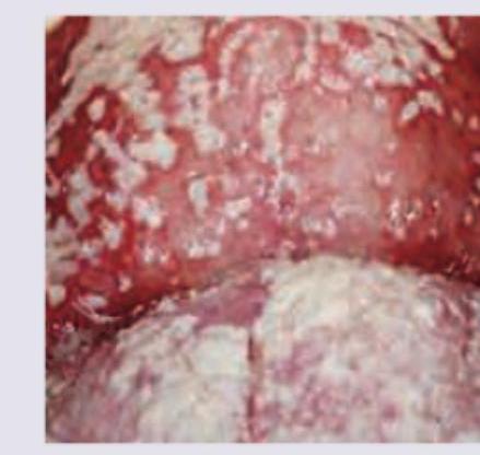 Image for question 21