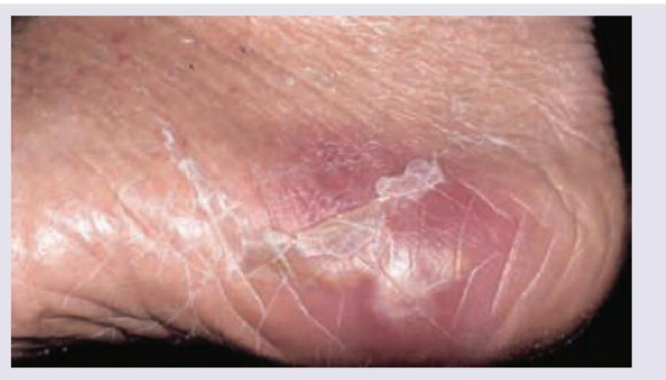 Image for question 8