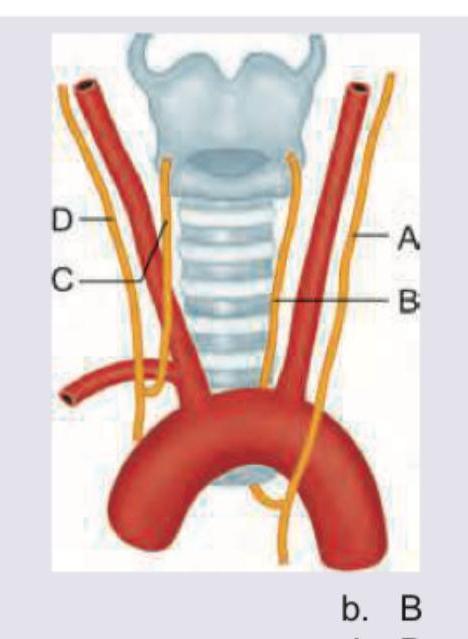 Image for question 10