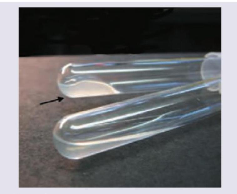 Image for question 119