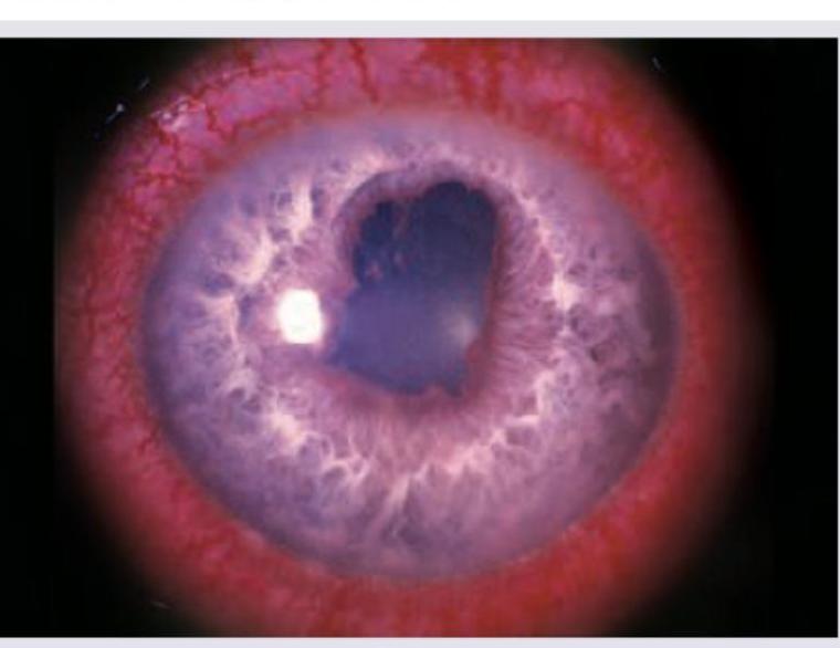 Image for question 242