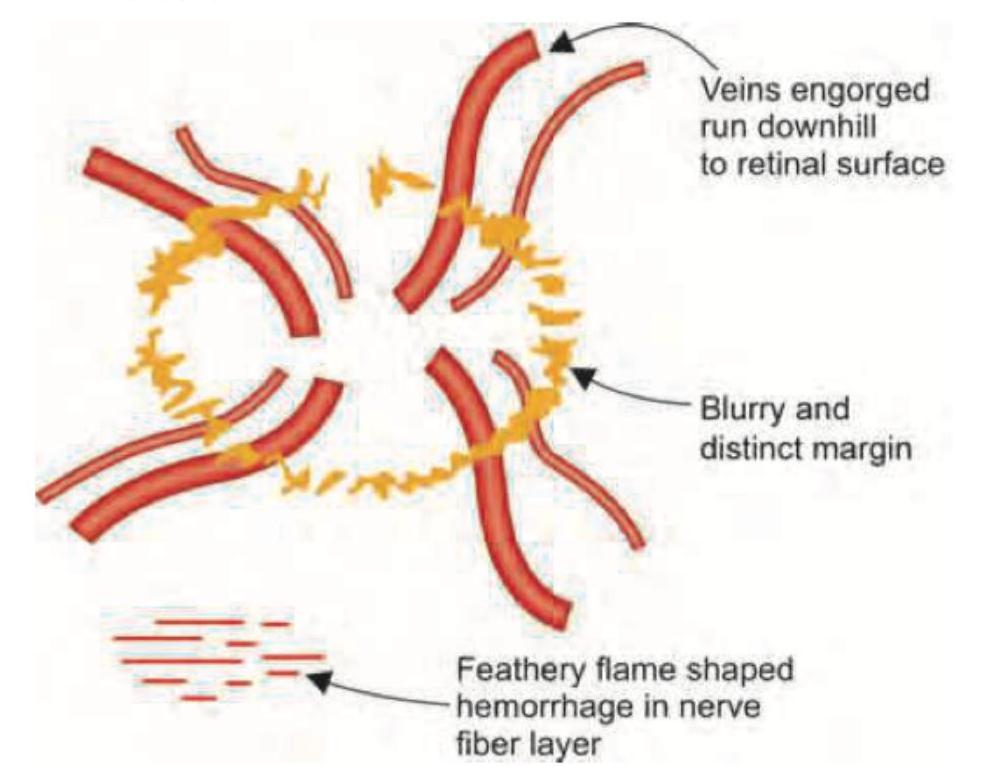 Image for question 369
