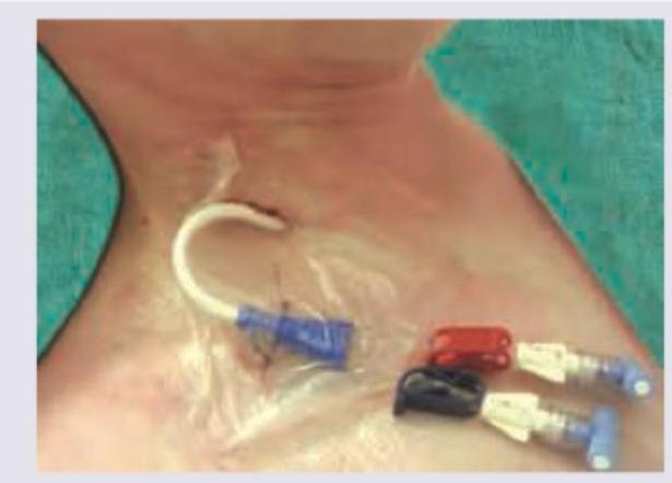 Image for question 636