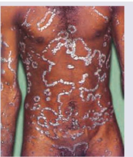 Image for question 78