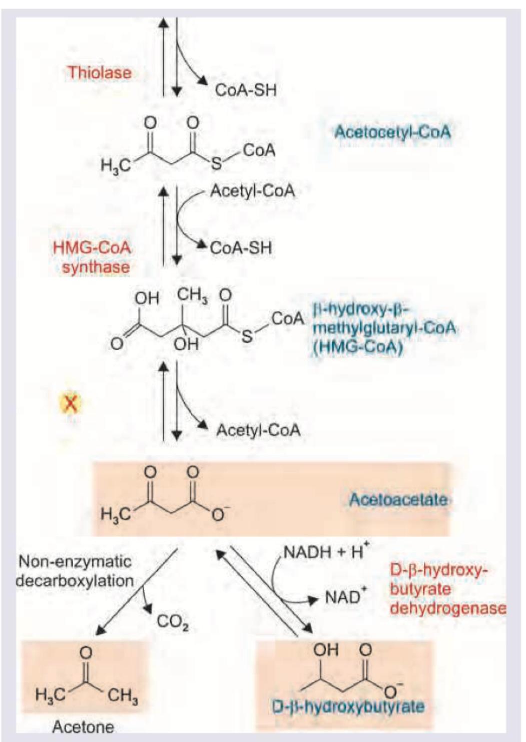 Image for question 460