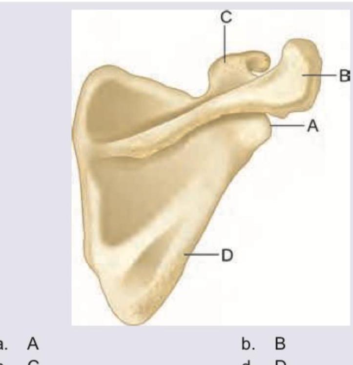 Image for question 55