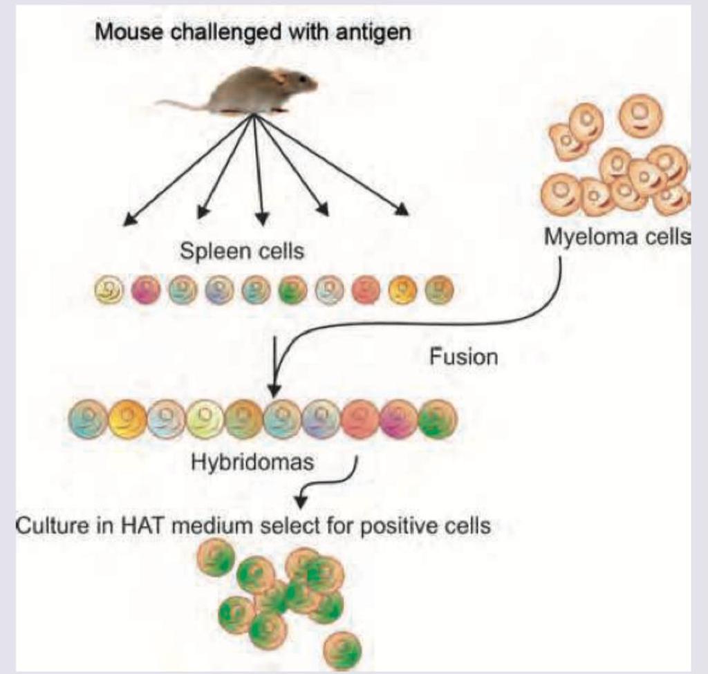 Image for question 2
