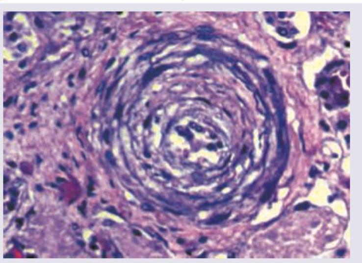 Image for question 257